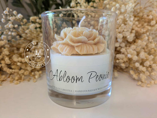 Abloom Peonie - Honey